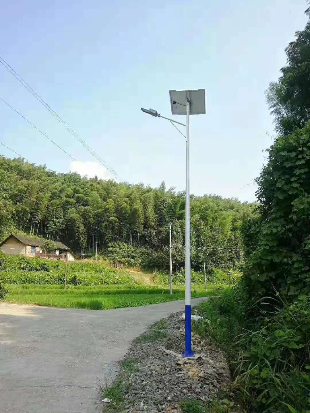 新农村太阳能路灯厂家